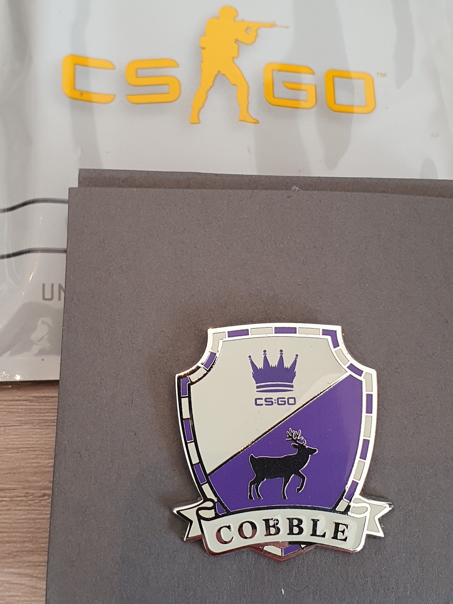 SELECTION CS:GO Pin Series 2 Collectible Pin +Ingame Key STEAM Valve CSGO CS2 Code 