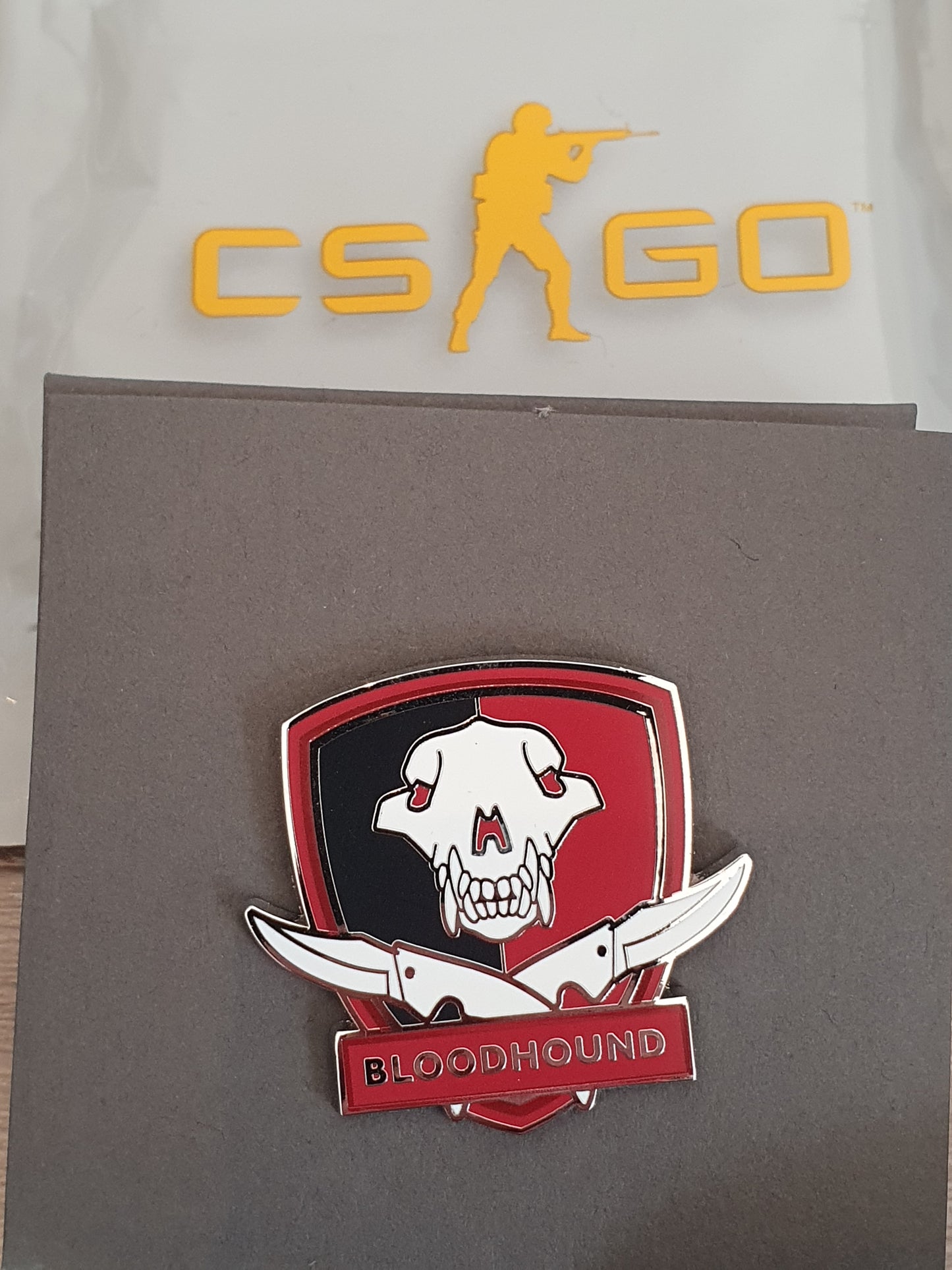 SELECTION CS:GO Pin Series 2 Collectible Pin +Ingame Key STEAM Valve CSGO CS2 Code 