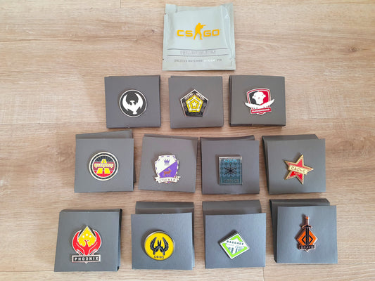 SELECTION CS:GO Pin Series 2 Collectible Pin +Ingame Key STEAM Valve CSGO CS2 Code 